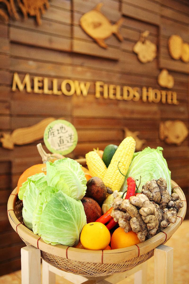 Mellow Fields Hotel Taipé Exterior foto